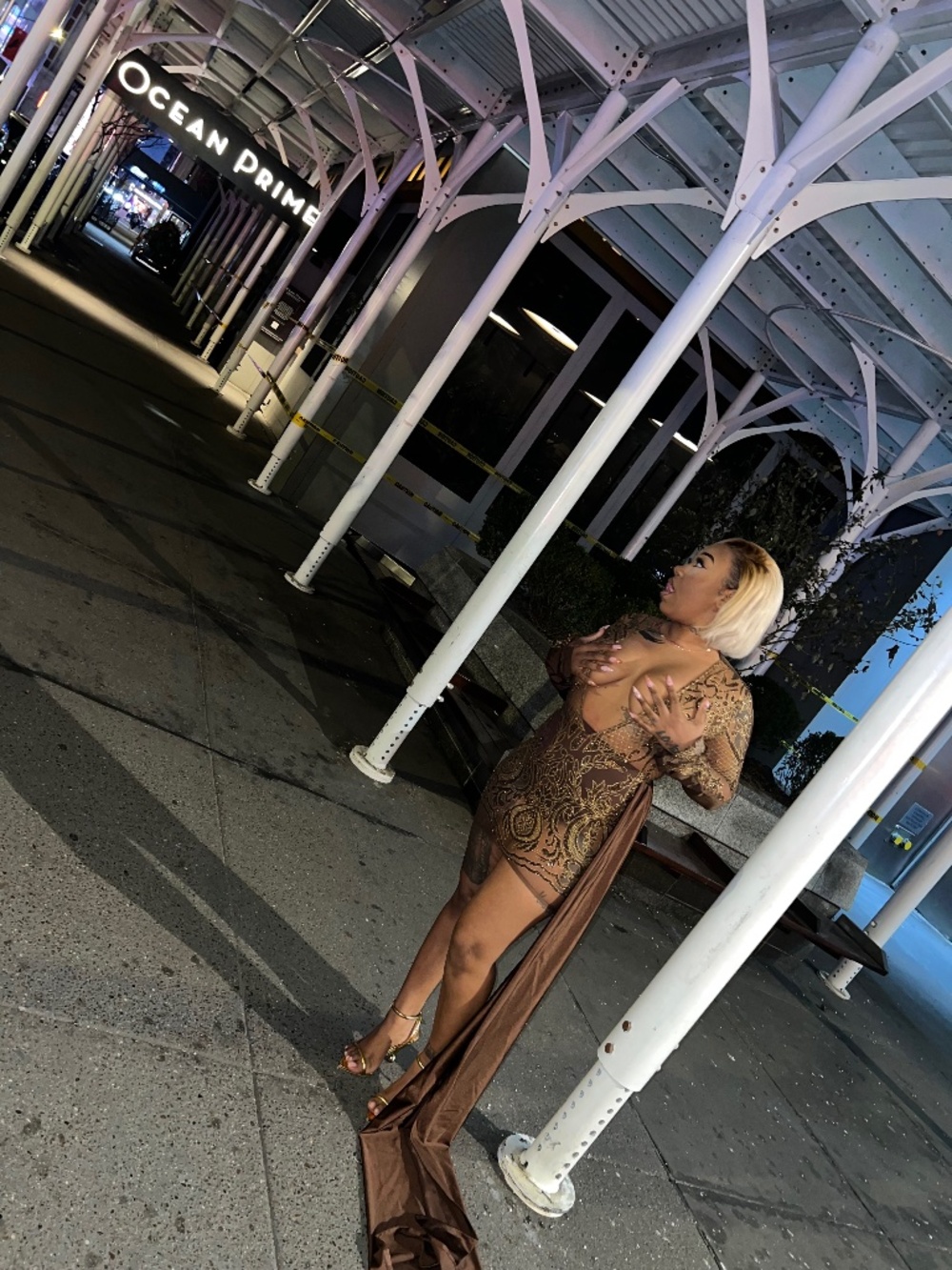 Brown Sheer Birthday/Special Occasion Dress
